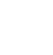 canvas-cove-lp